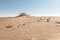Desert sand landscape, dune nature dry,  tourism