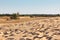 Desert sand landscape, dune nature dry,  travel