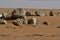 Desert sand and rocks, in the heart of Saudi Arabia on the way to Riyadh