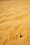 desert sand texture background at Pinnacles Western Australia