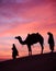 Desert scence with camel and dramatic sky