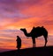 Desert scence with camel and dramatic sky