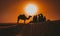 Desert scence with camel at the sunset in Sahara