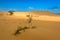 Desert Scene with Sunshine on Sand Dunes