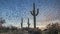 Desert Skies At Sunset With Saguaro Cactus