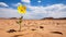 Desert Solitude: A Lone Yellow Blossom Thrives Amidst Arid Isolation