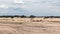 Desert in spring distant view with epic dark sky