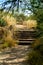 Desert stairs on mission view trail in sabino national park in the hills and cliffs of arizona in the sonora desert