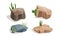 Desert Stones or Boulders with Cactus and Succulent Plant Vector Set