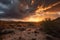 desert storm rolling in, with dramatic sunset and clouds in the background