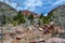 A Desert Stream Running Through Zion National Park