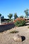 Desert Style Xeriscaping in Phoenix, AZ