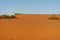 Desert at sunrise brings out bold burnt orange colored sand making a great desert landscape in the United Arab Emirates