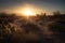 desert sunrise, with the first rays of light peeking over the horizon and illuminating the cacti