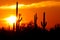 Desert sunset colection
