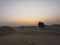 Desert sunset dubai sand dunes landscape