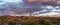 Desert Sunset Landscape With Cactus & Mountains