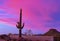 Desert Sunset Sky With Lone Saguaro