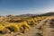 Desert of Tabernas