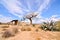 Desert Tabernas in Almeria Province Spain