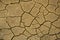 Desert texture