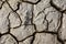 Desert texture, parched and cracked earth