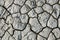 Desert texture, parched and cracked earth