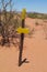 Desert trail and direction arrow pointer, sign