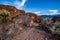 Desert valley plants, rocks, boulders with distant mountain range