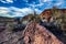 Desert valley plants, rocks, boulders with distant mountain range