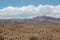 Desert vegetation