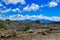 Desert vegetation and black mountains in the Mojave Desert near Kingman, Arizona