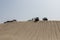 The desert vehicles expedition on top of dunes