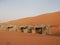 Desert view and Desert Barasti Huts, Wahbia Sands, Oman