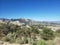 Desert view summer trees open landscape