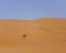 Desert wasteland sand dune sahara