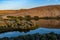 Desert Waters of idaho