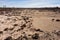 The desert in Western Australia with a dried lake near Hyden, Wave Rock