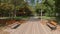 Deserted alley in park, daytime, no people, flying above ground