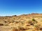 The deserted area in the oasis of Figuig in Morocco