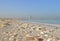 Deserted beach in Dubai with Burj Al Arab in the background and many shells United Arab Emirates