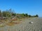 Deserted beaches of Abkhazia on the Black sea. Pebble beaches on The black sea coast.