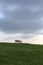 Deserted bench in front of a dark sky on a dam at the North Sea