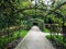 Deserted black archway covered in numerous plants during autumn