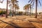 A deserted boardwalk promenade and palm trees on an early, warm  and sunny summer morning at La Herradura beach, Costa Tropical, A