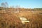 Deserted boat in withered grass beside forest