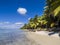 Deserted Caribbean beach with blue sea, sand and blue sky with fluffy cloud.