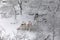 Deserted children`s playground covered with snow