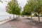 Deserted cobbled waterfront path lined with trees on a foggy autumn day