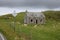 Deserted cottage and many sheep